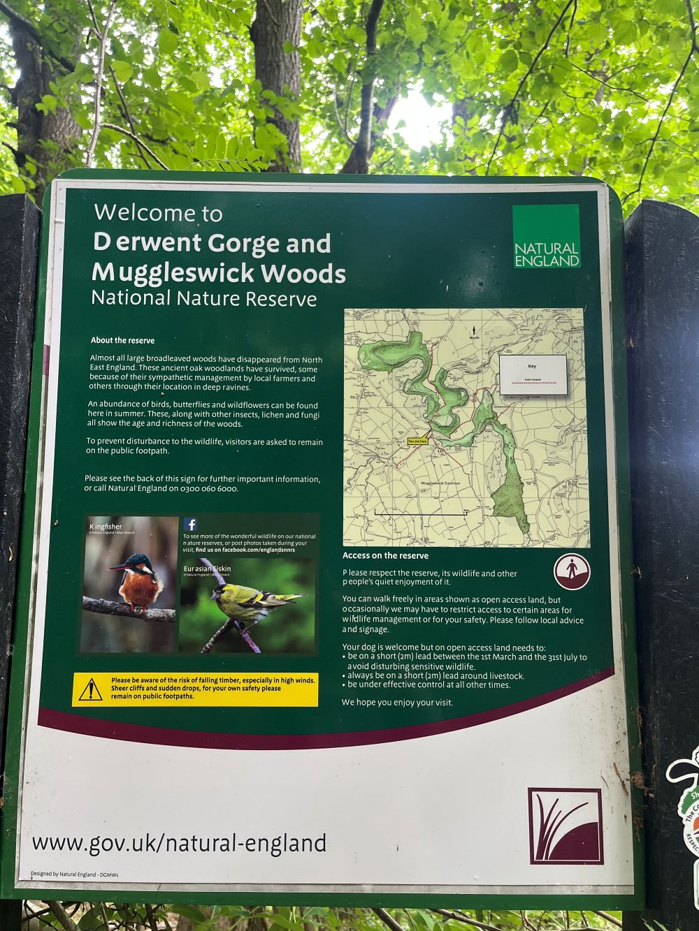 Sign